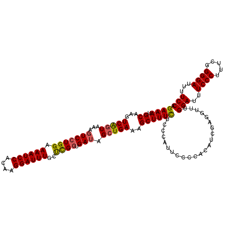 secondary structure