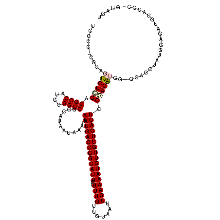 secondary structure