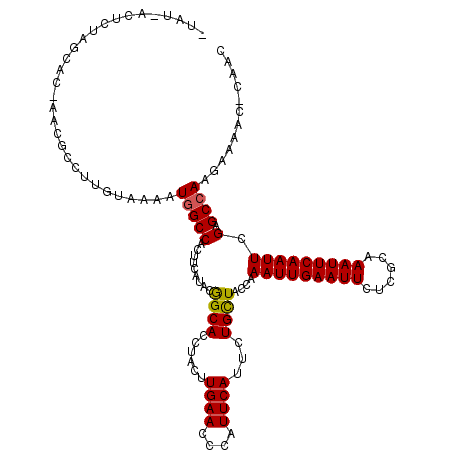 secondary structure