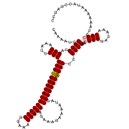 secondary structure