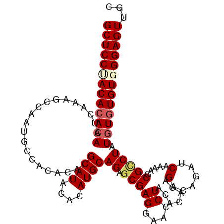 secondary structure