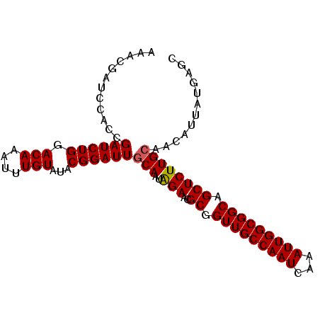 secondary structure