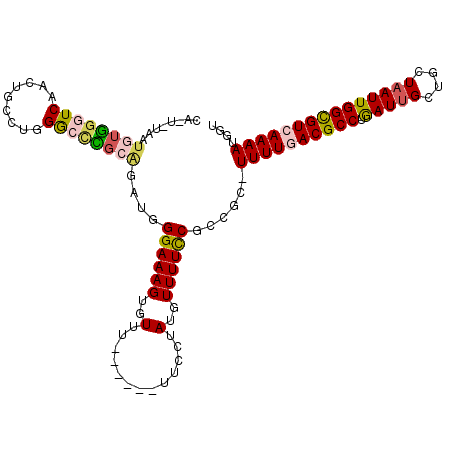 secondary structure