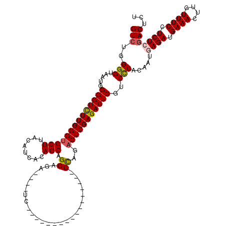 secondary structure
