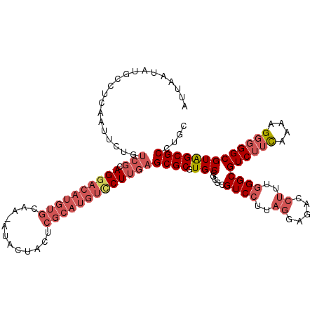secondary structure
