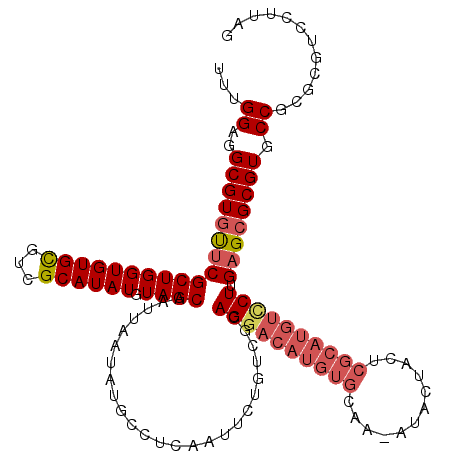 secondary structure