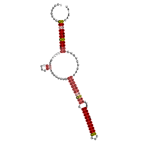 secondary structure