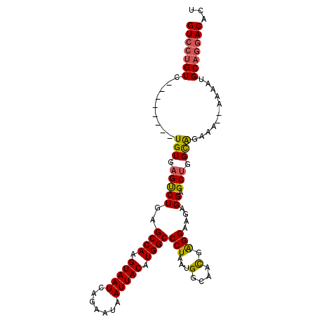 secondary structure