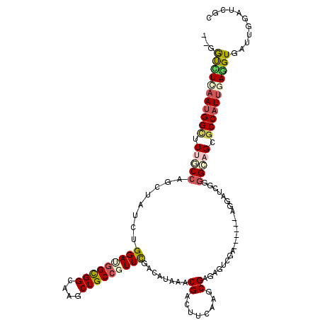 secondary structure