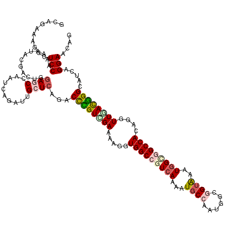 secondary structure