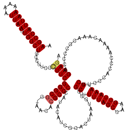 secondary structure