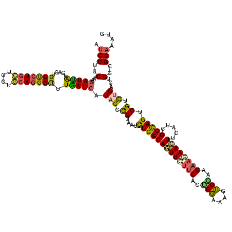secondary structure