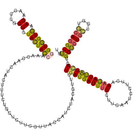 secondary structure