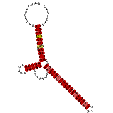 secondary structure