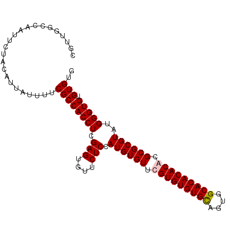 secondary structure