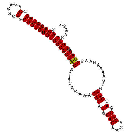secondary structure