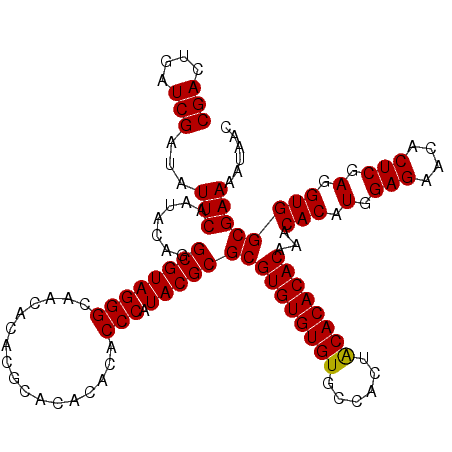 secondary structure