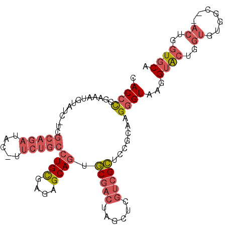 secondary structure