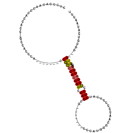 secondary structure
