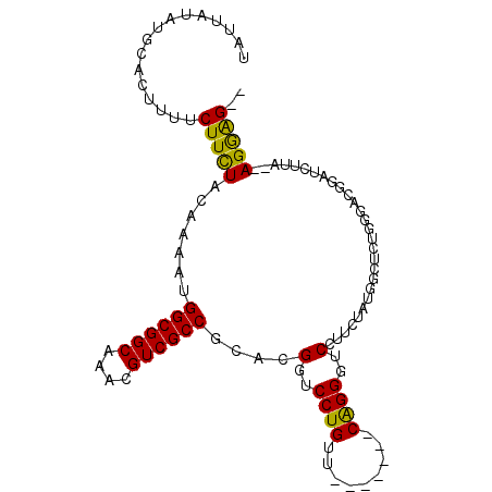 secondary structure