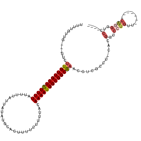 secondary structure