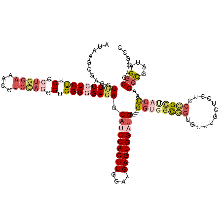 secondary structure