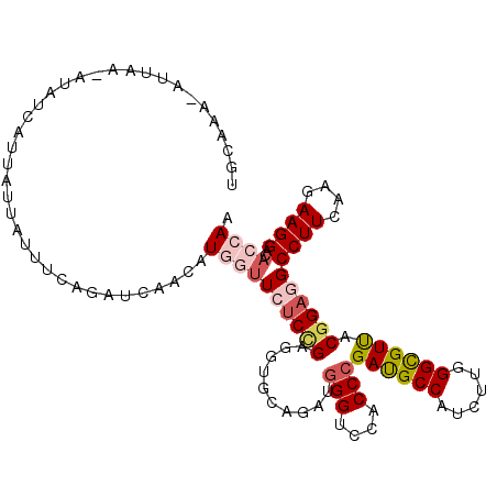 secondary structure