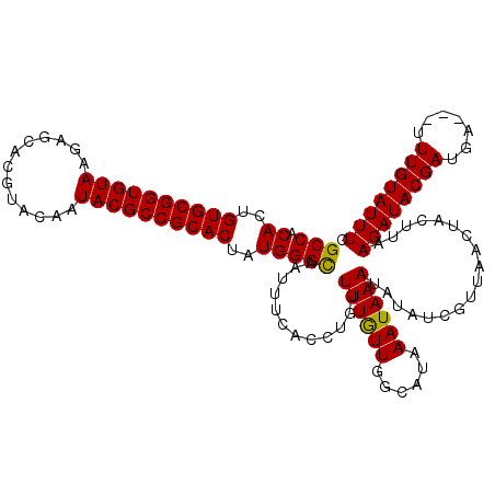 secondary structure
