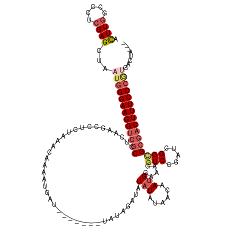 secondary structure