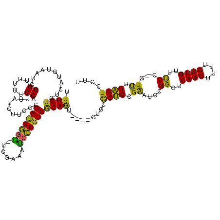 secondary structure