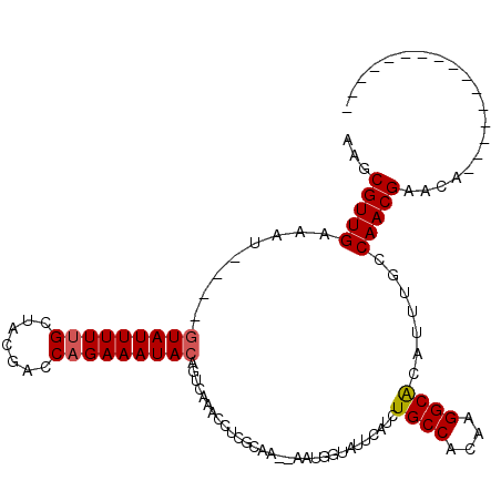 secondary structure