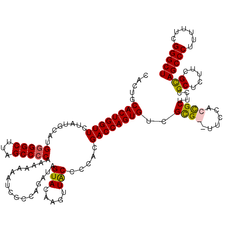 secondary structure