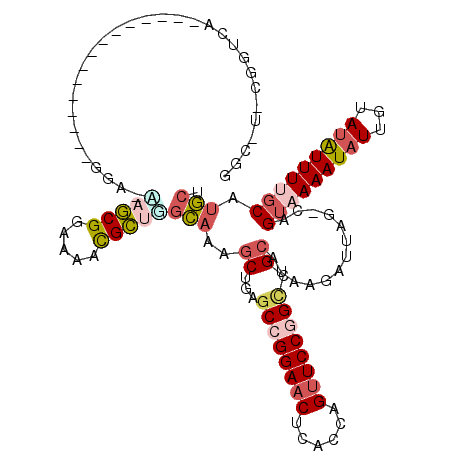 secondary structure