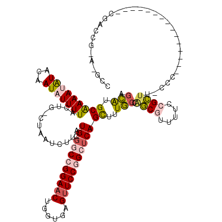 secondary structure