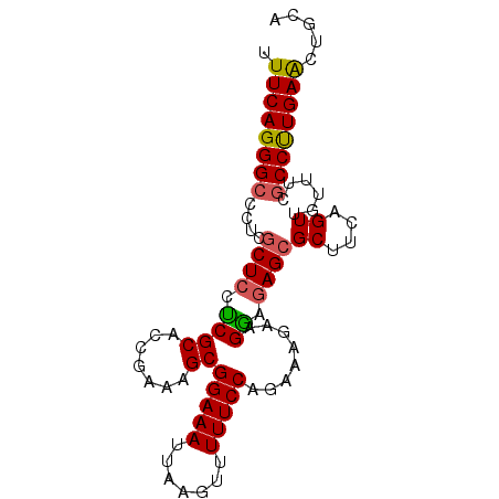 secondary structure