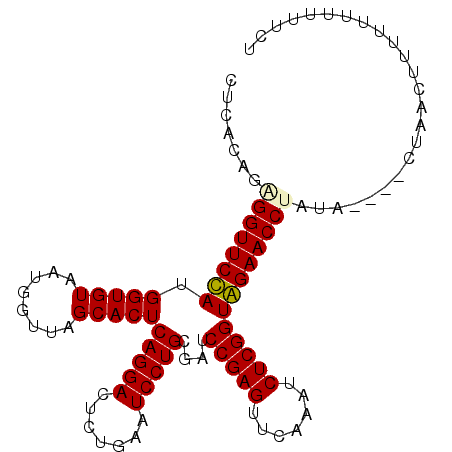 secondary structure