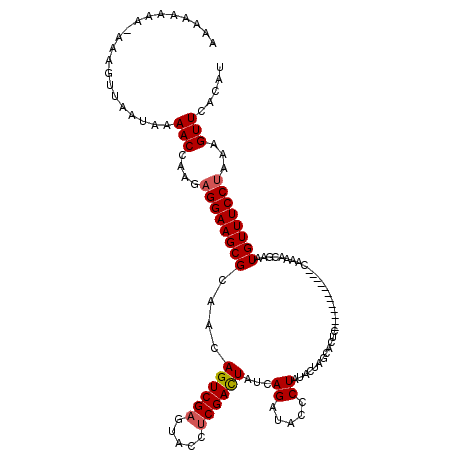 secondary structure