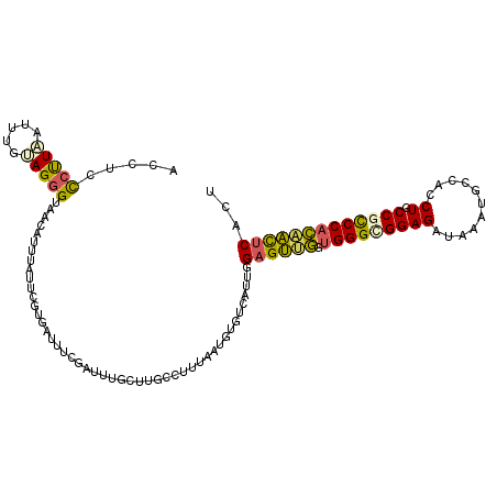 secondary structure