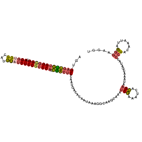 secondary structure