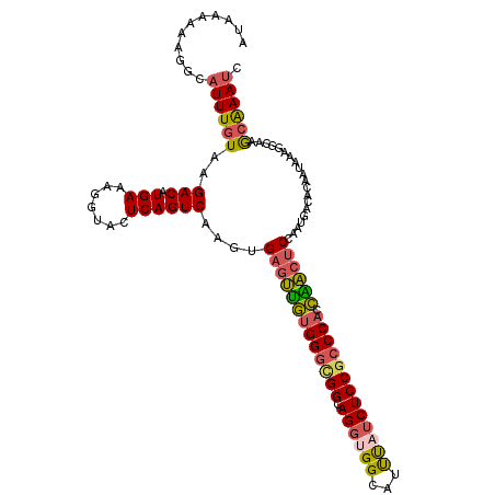 secondary structure