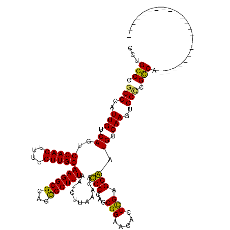 secondary structure