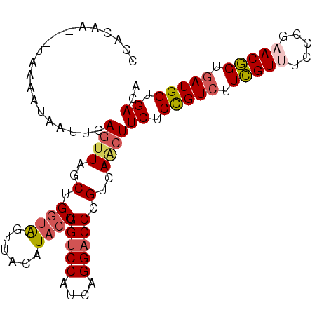 secondary structure