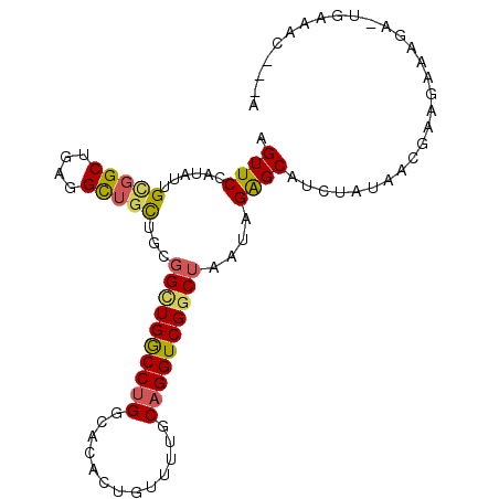secondary structure