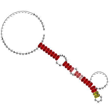 secondary structure