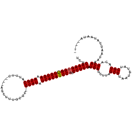 secondary structure