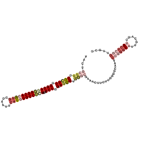 secondary structure