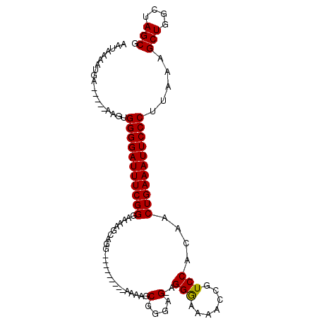 secondary structure