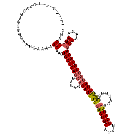 secondary structure
