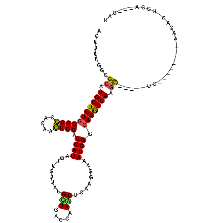 secondary structure