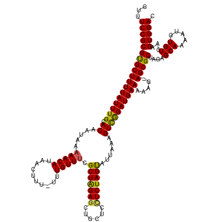 secondary structure